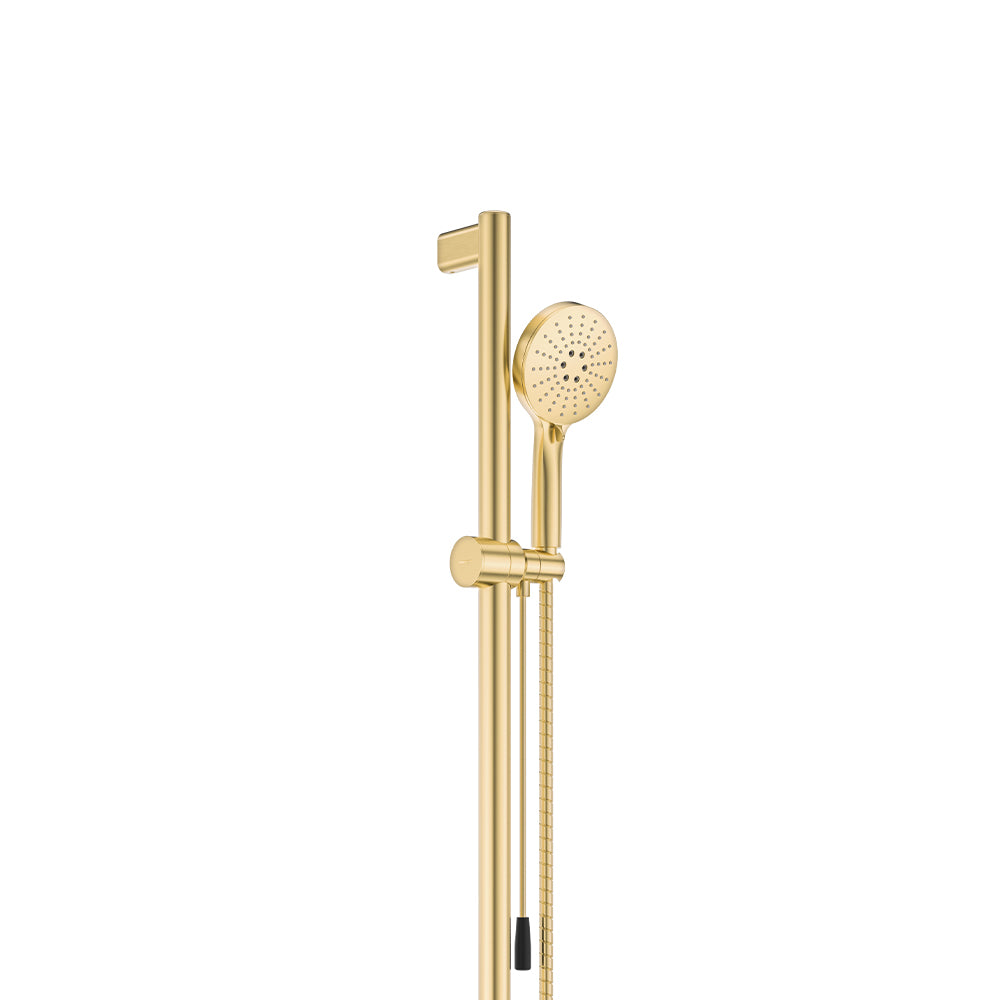 Care Rail Shower With Push/Pull Slider