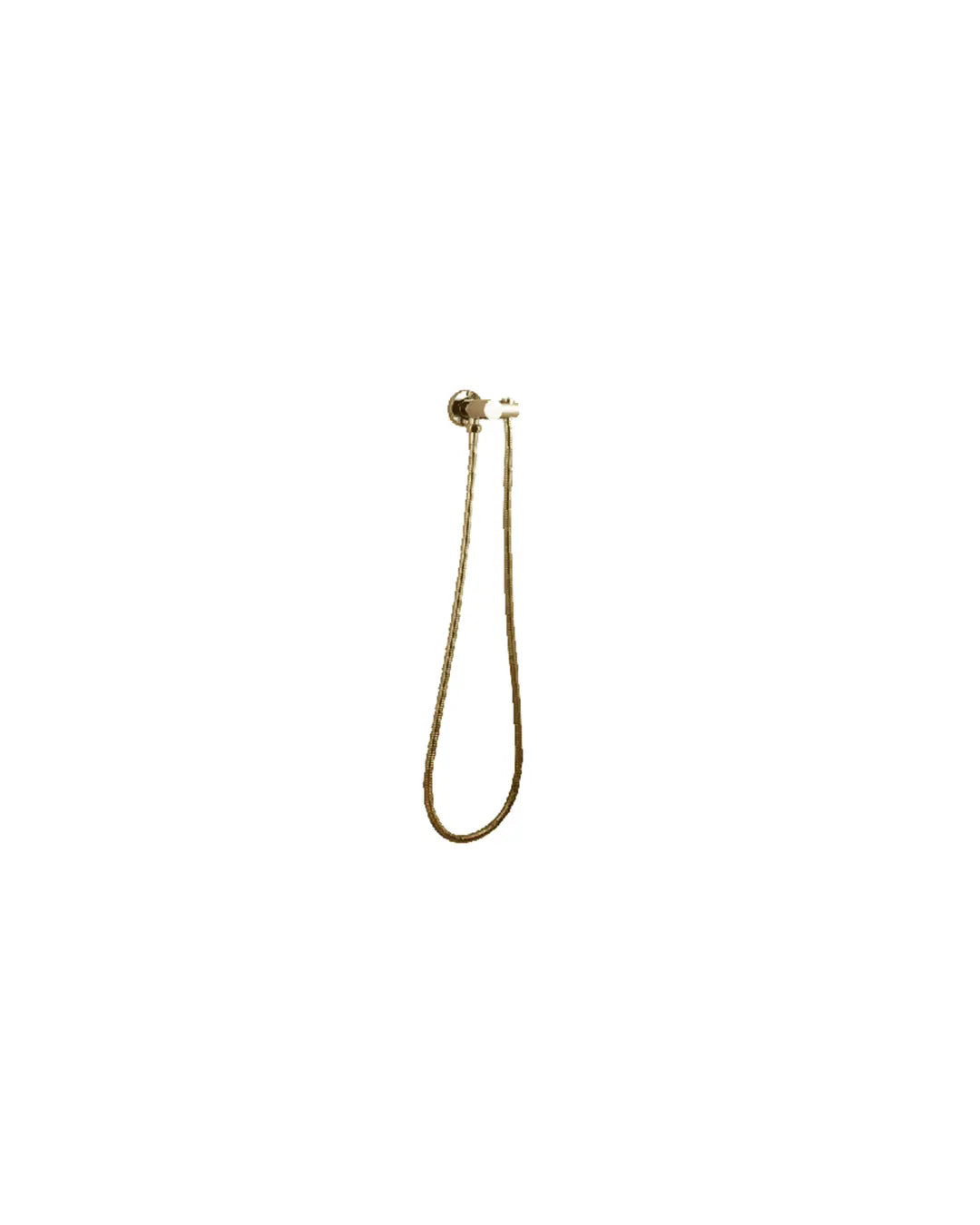 Pentro Shower Holder & Connector