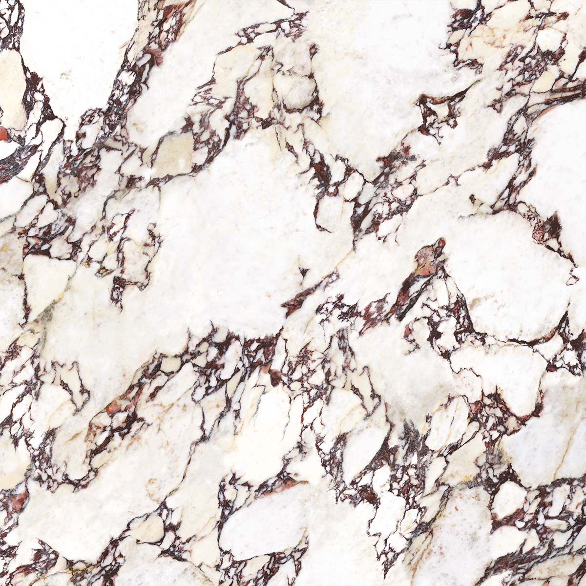 Wonderland Porcelain Tiles - Neche Interiors