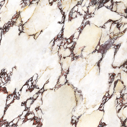 Wonderland Porcelain Tiles - Neche Interiors