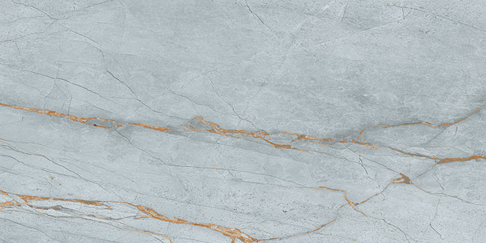 Noble Stone Porcelain Tile - Neche Interiors