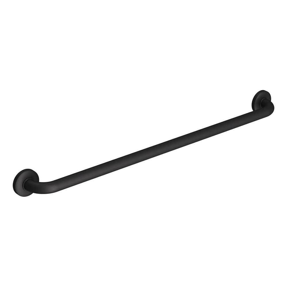 Accessible Care Grab Rail