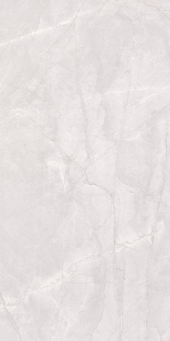 Euromarmo Ice Grey 1200 x 600 mm porcelain tile
