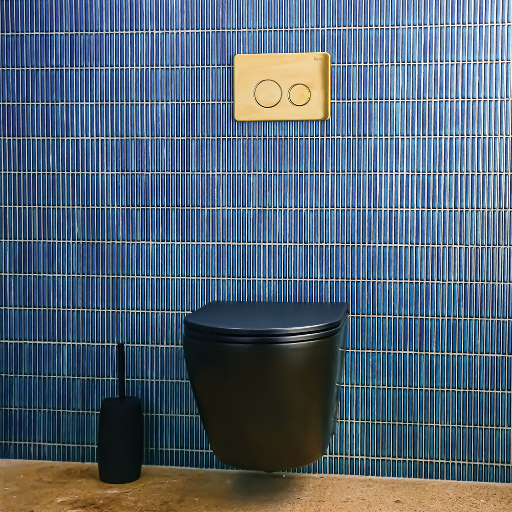 Fienza R&T Round Button Flush Plate