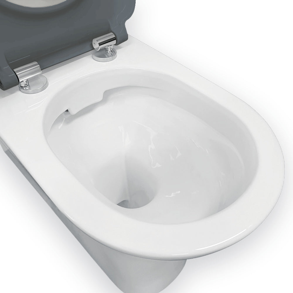 Delta Care Back-to-Wall Toilet Suite, Gloss White with Grey Seat - Neche Interiors