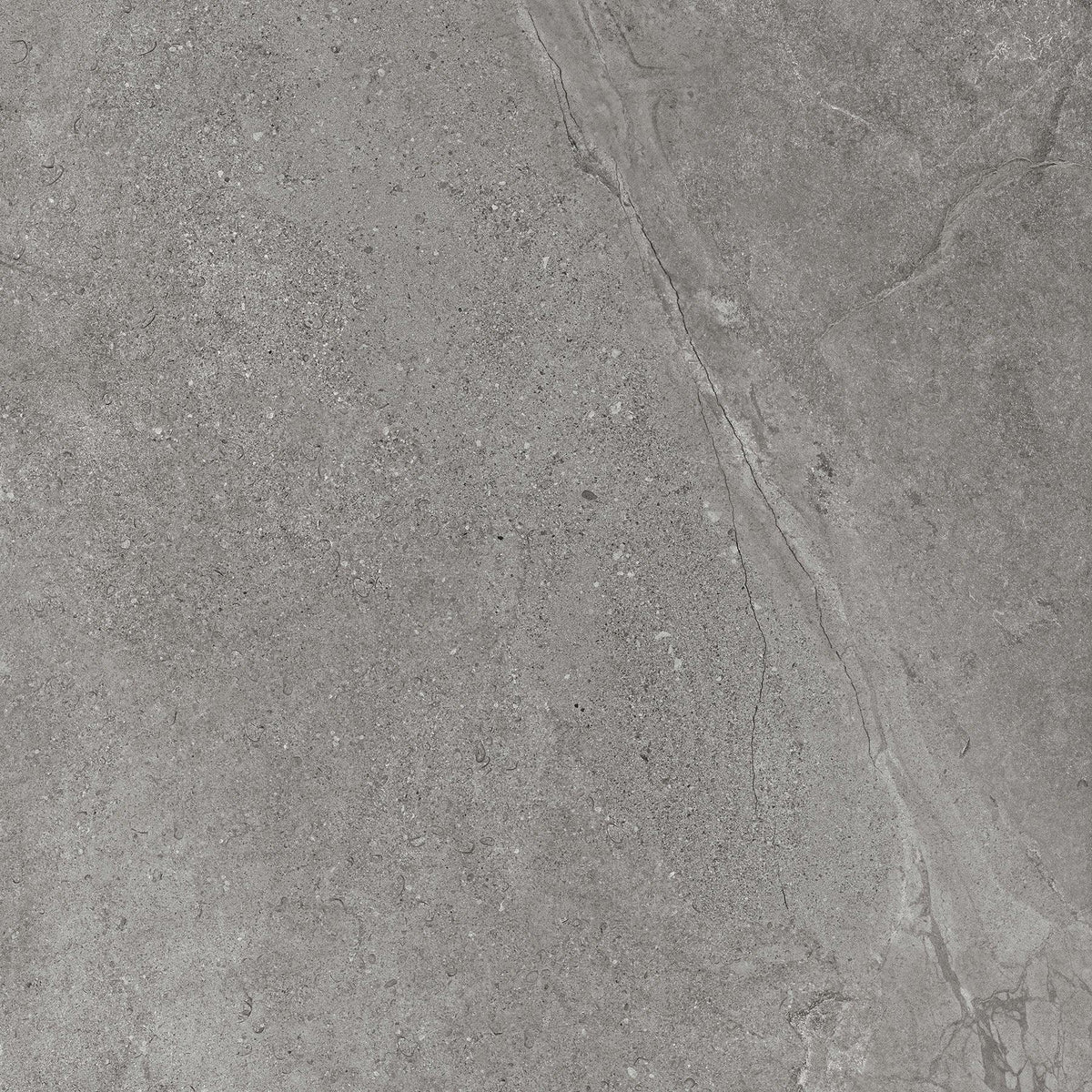 Magic Stone Porcelain Tile - Neche Interiors
