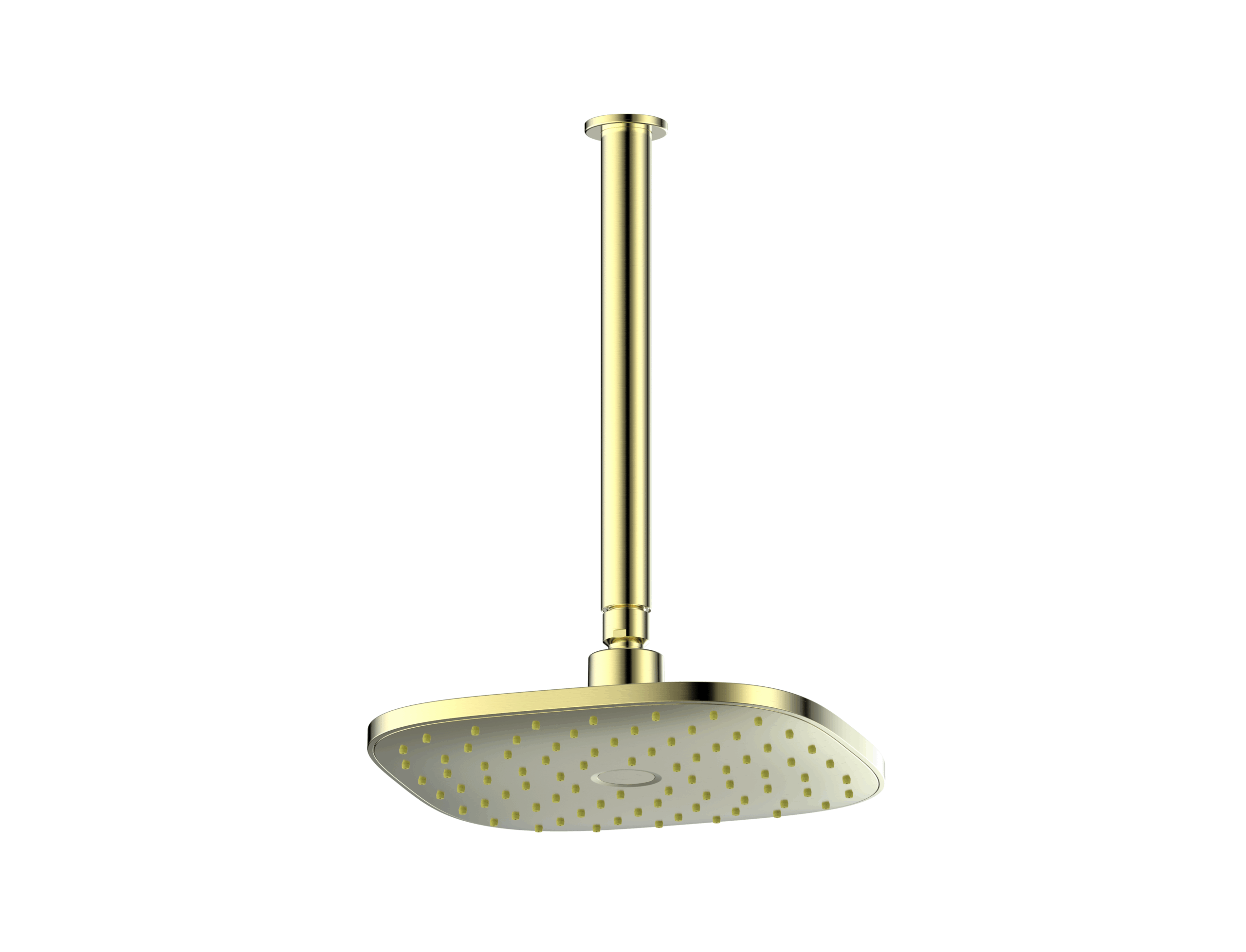 Corban Ceiling Shower