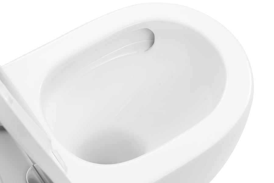 Alegra Ezi Height back to wall toilet suite