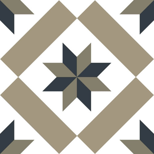 Picasso Torian