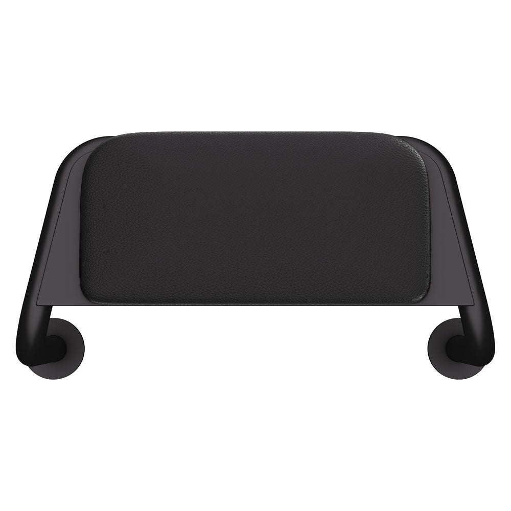 Care Back Rest With Cushion Plate