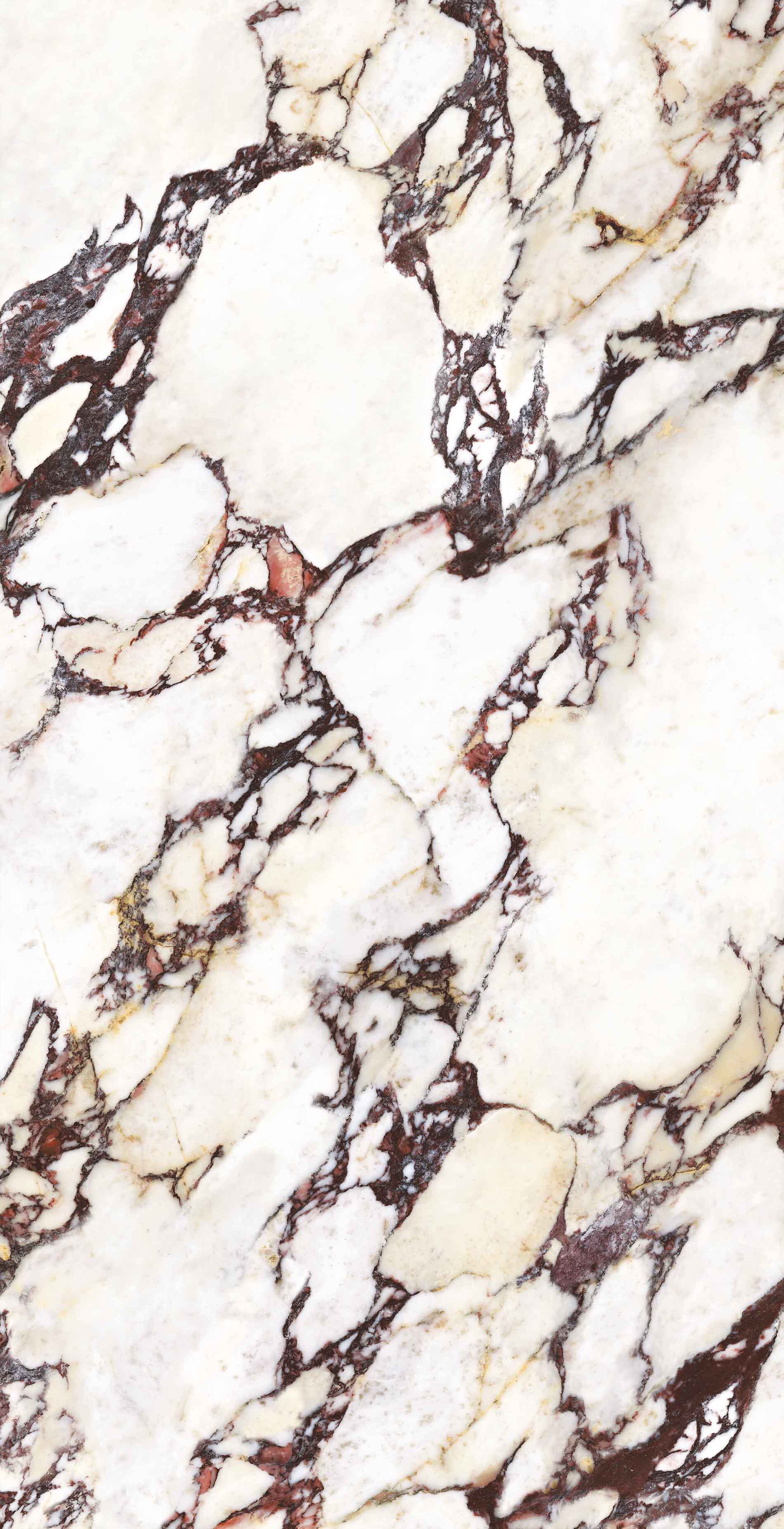 Wonderland Porcelain Tiles - Neche Interiors