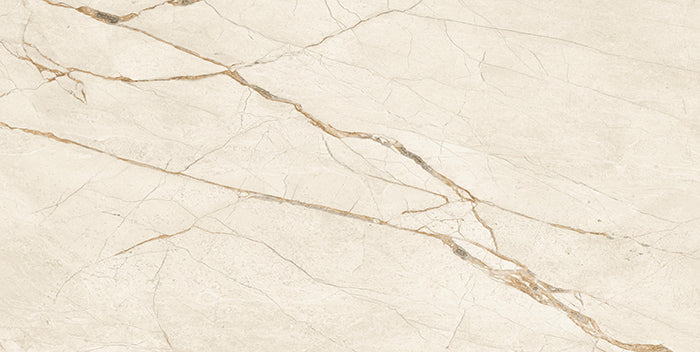 Noble Stone Porcelain Tile - Neche Interiors
