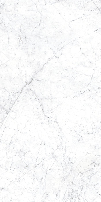 Euromarmo Carrara Venatino 1200 x 600 mm porcelain tile