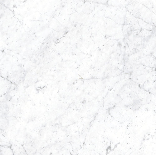 Euromarmo Carrara Venatino 600 x 600 mm porcelain tile