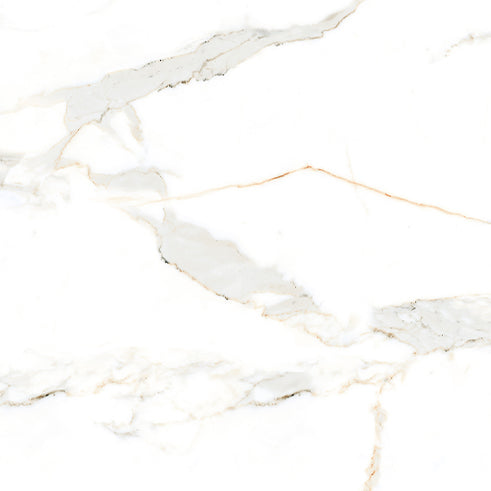 Euromarmo Calacatta Gold 600 x 600 mm porcelain tile