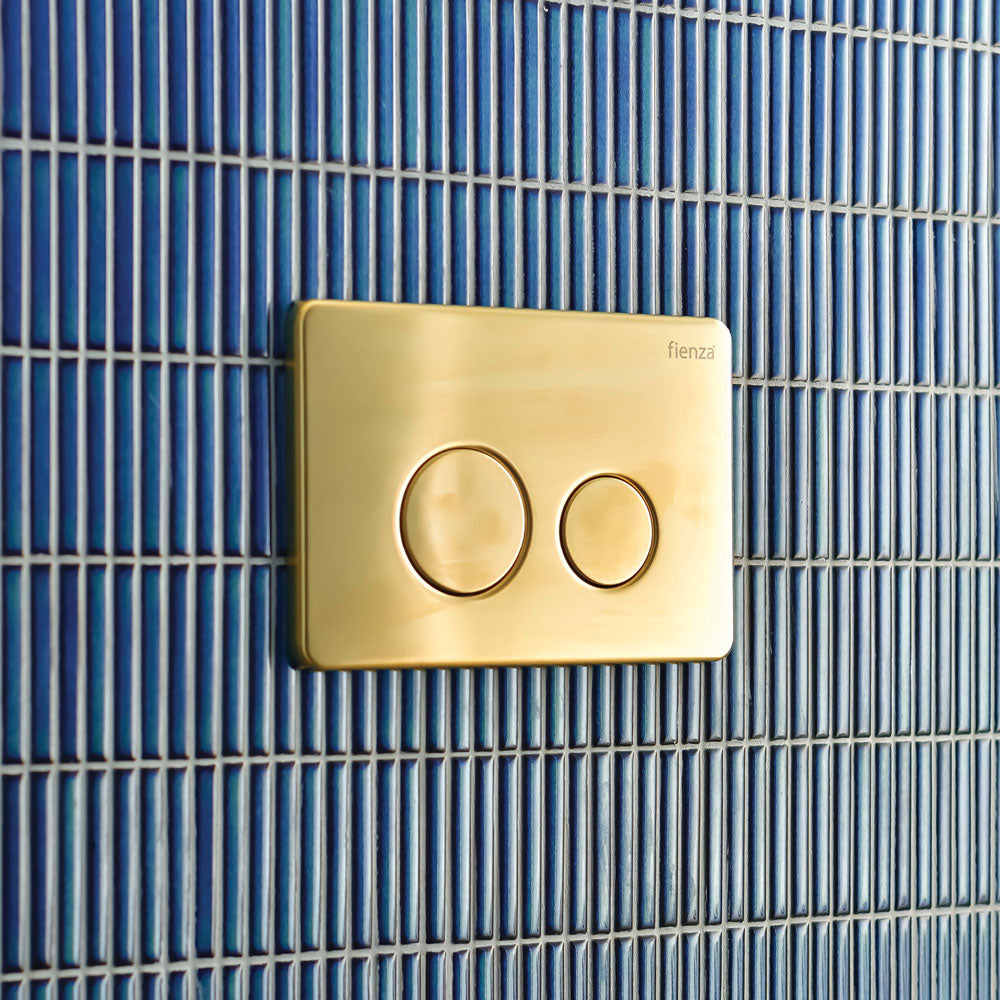 Fienza R&T Round Button Flush Plate