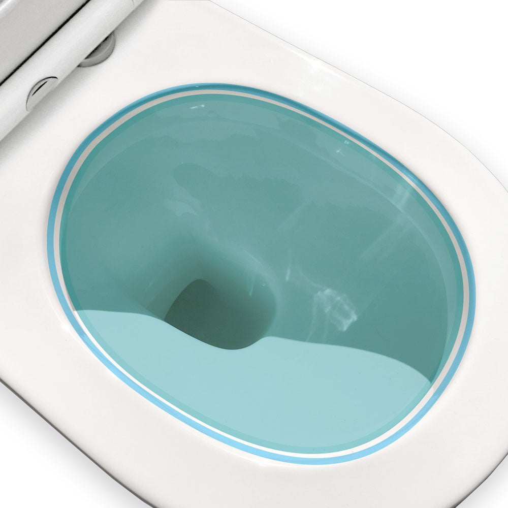 Empire Back-to-Wall Toilet Suite, Gloss White - Neche Interiors