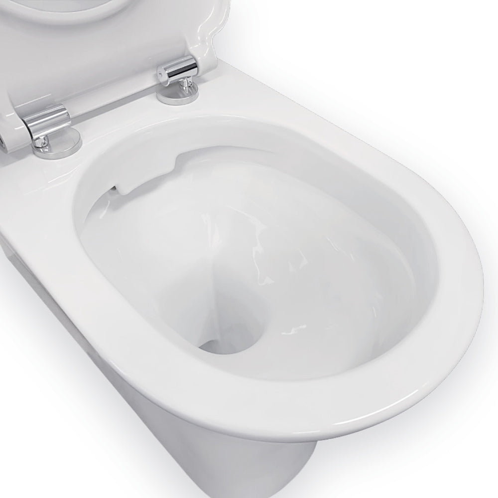 Delta Care Back-to-Wall Toilet Suite, White Seat, Raised Buttons - Neche Interiors