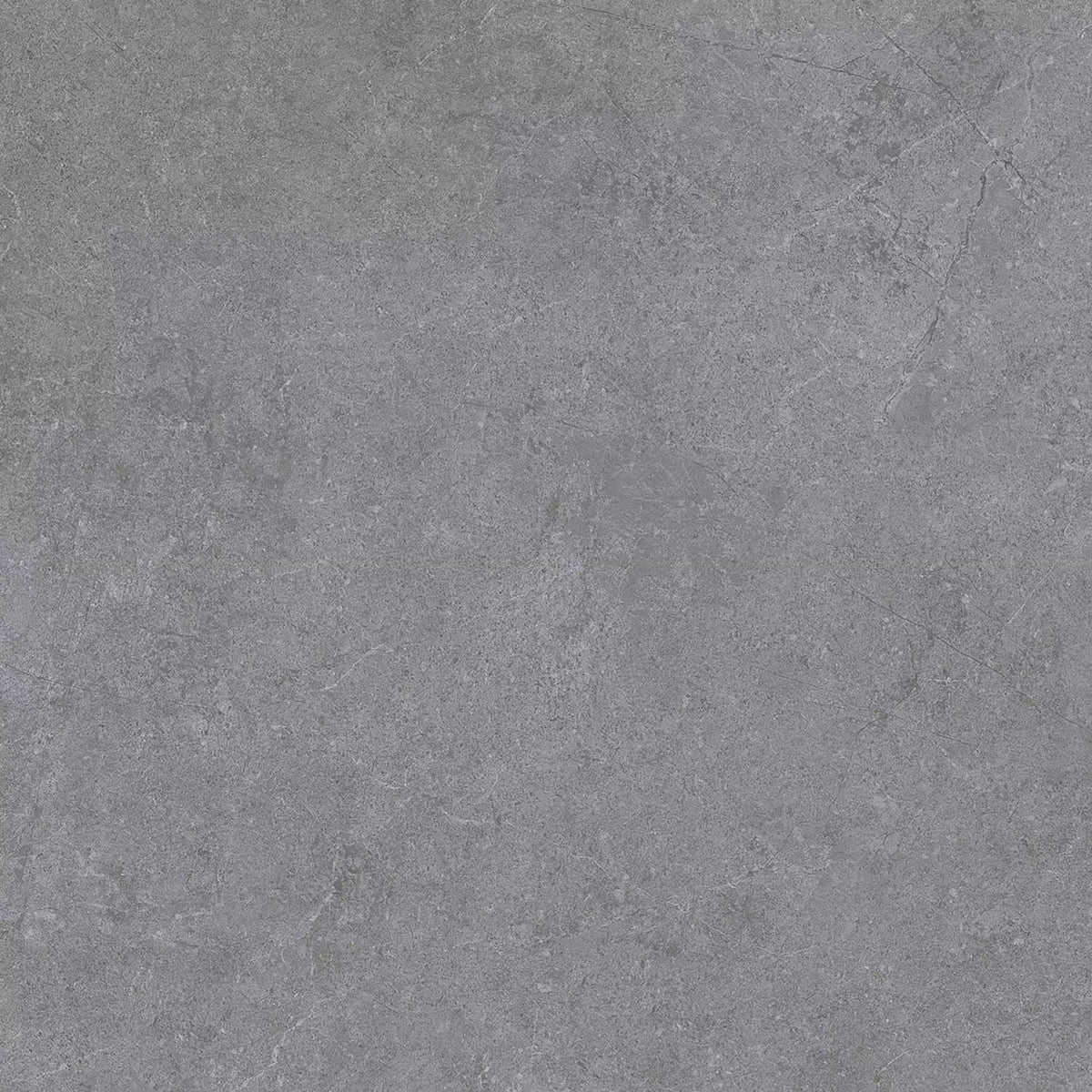 Pietra Porcelain Tile - Neche Interiors