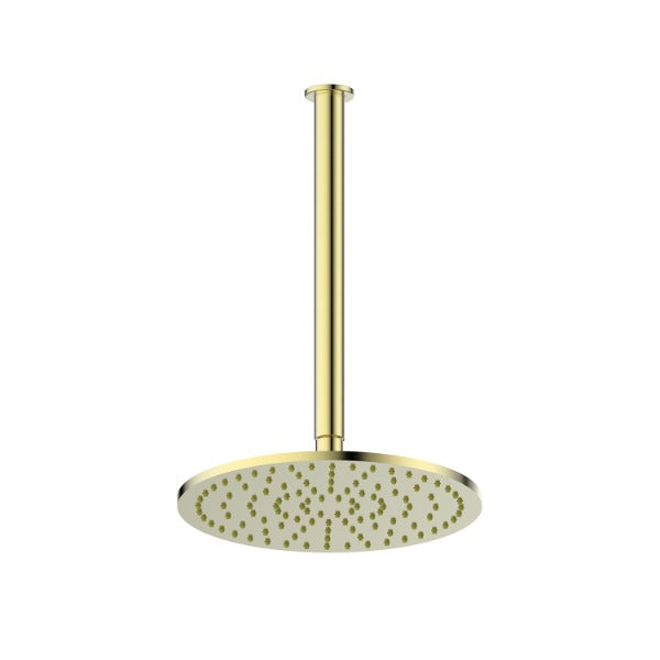 Lavish Brass Ceiling Shower