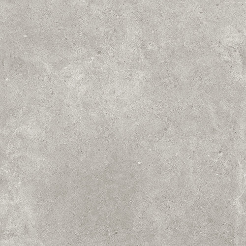 Paradigm Tortora - Quality Tiles